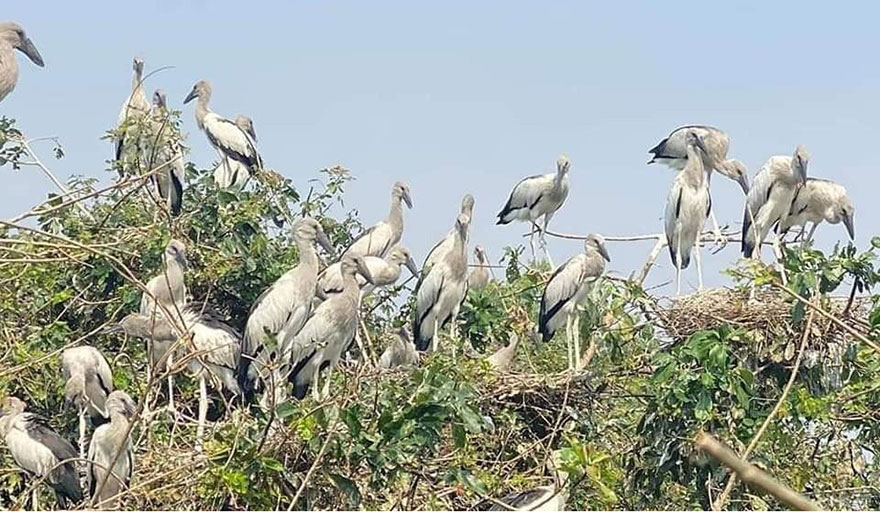 a87ff679a2f3e71d9181a67b7542122c-11-1