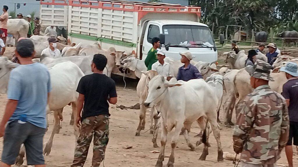 IMG_20220917_135013_904