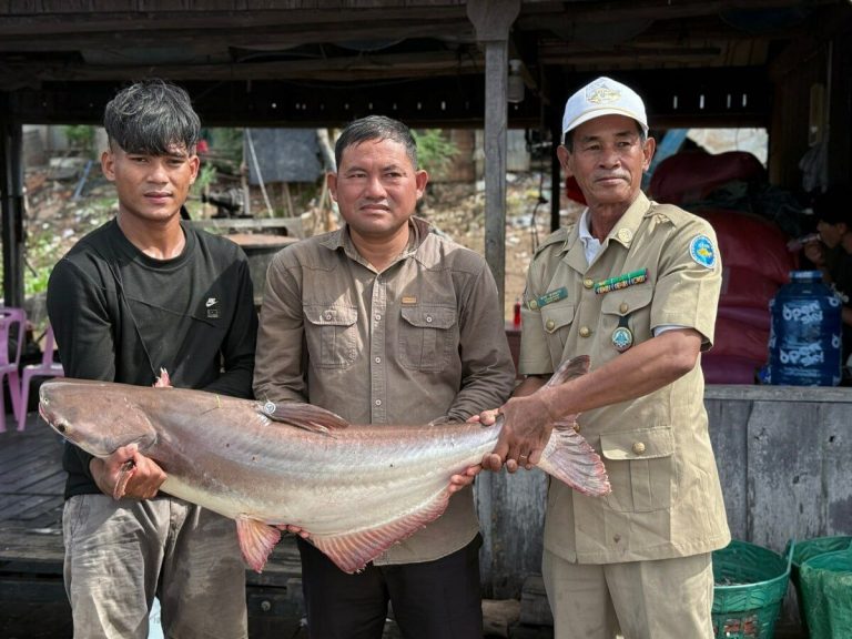 IMG_20251206_131038_890