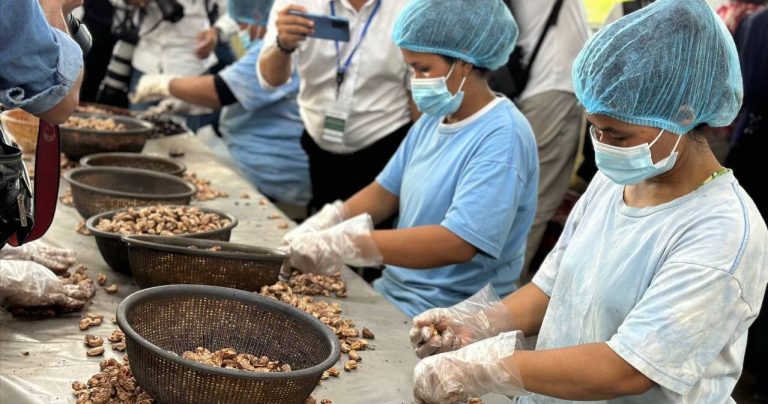 photo_2026-01-02_14-30-38