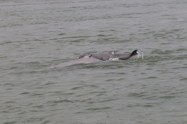 655834570_1410001944505768_6473279443486362815_n