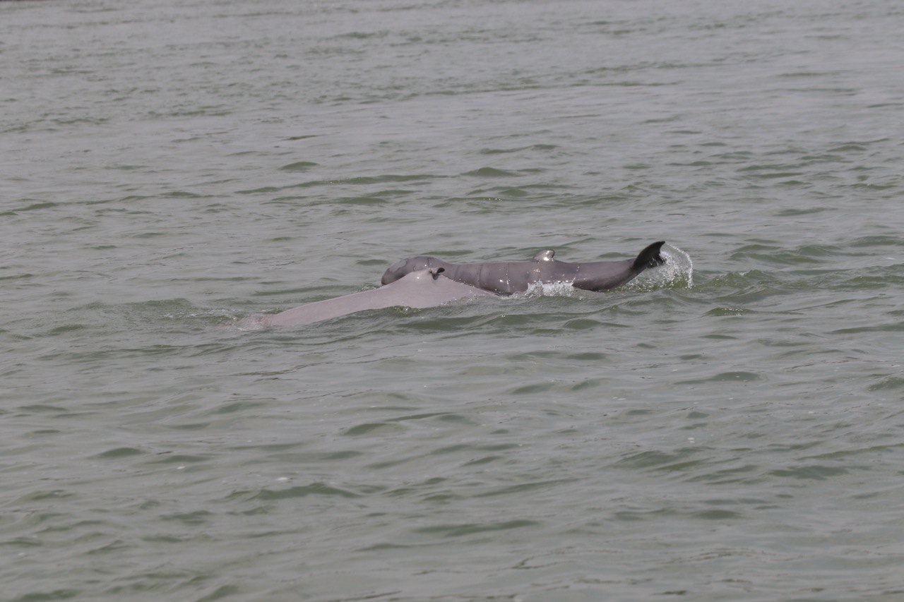 655834570_1410001944505768_6473279443486362815_n