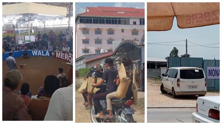 created by photogrid