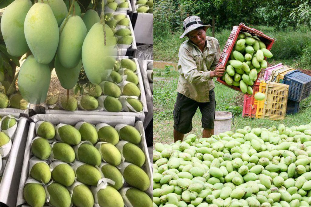 img-0.98210400-1568813597-1024x682